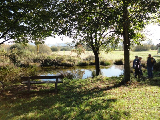 Gerlhamer Moor