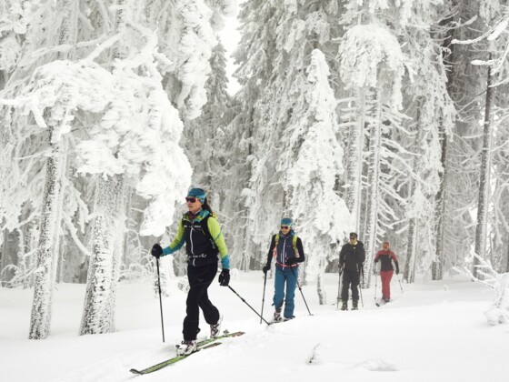 Skitour