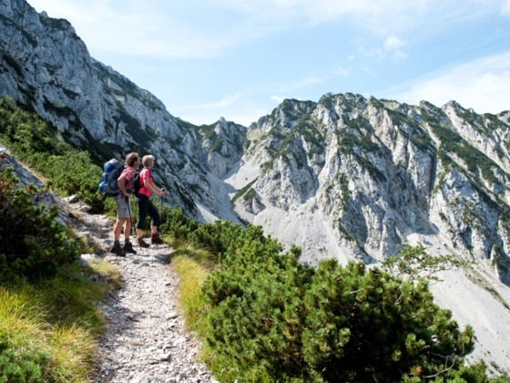 Ein Blick auf das Staufenmassiv Inzell