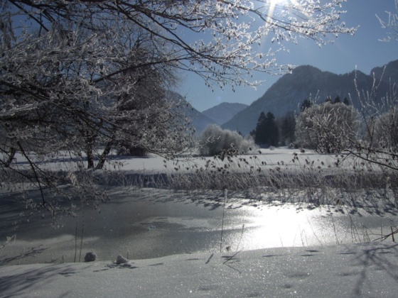 inzell winter landsschaft bach