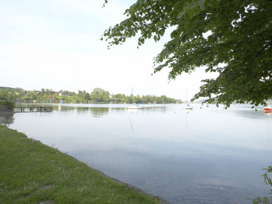 Naturbadeplatz Unterbuchberg in Seewalchen am Attersee