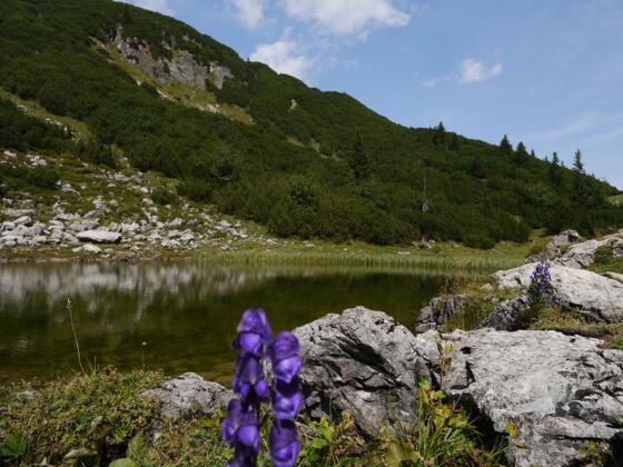 Guggersee