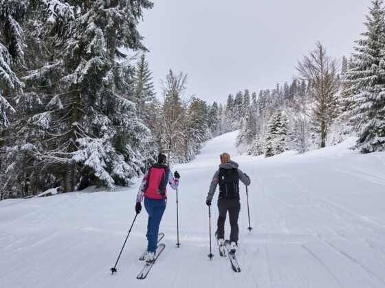 Skitour Bodenmais