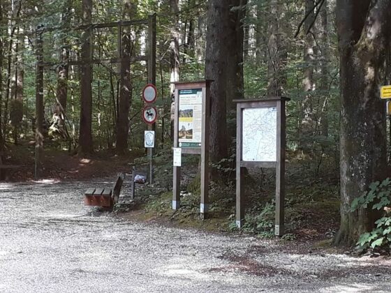 2018-parkplatz-marktwaldstra-e-2