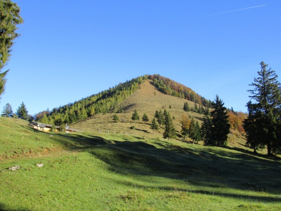Oberauer Brunstalm und Hochplattenanstieg