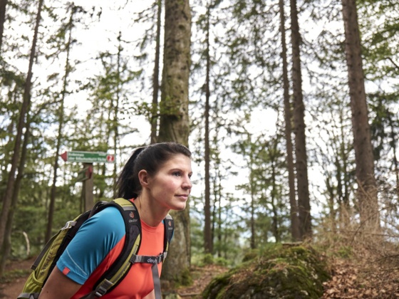 Wandern