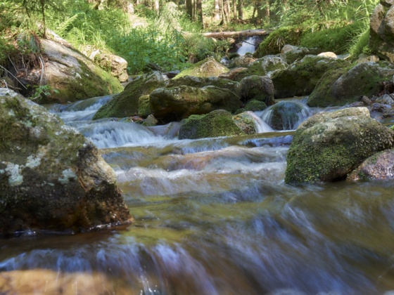 Wandern