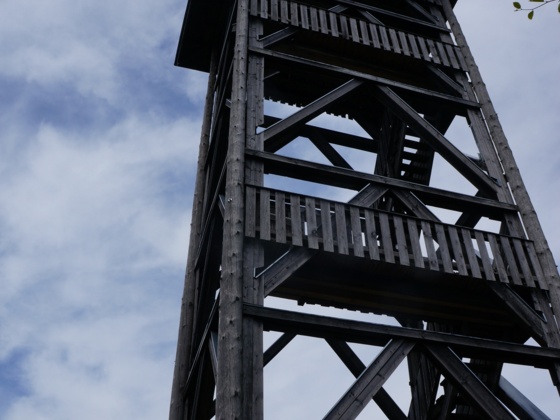 DSC04774_klein