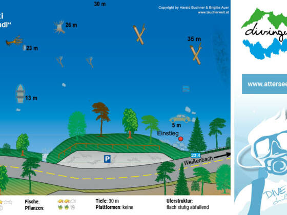 tauchplatz_bmw_dixi_kaiserbruendl