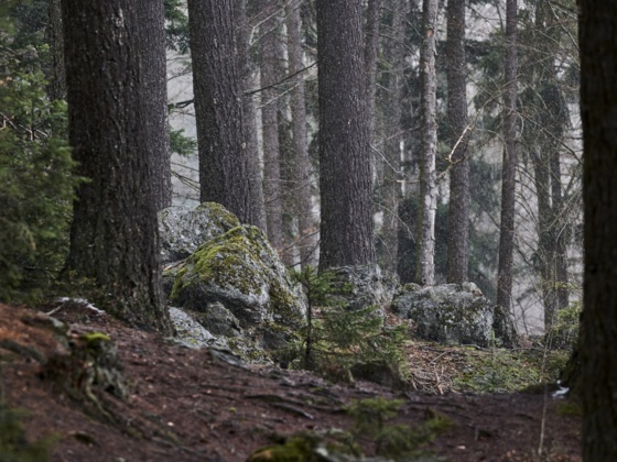 Wandern