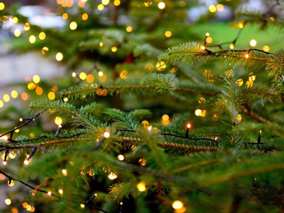 Christbaum