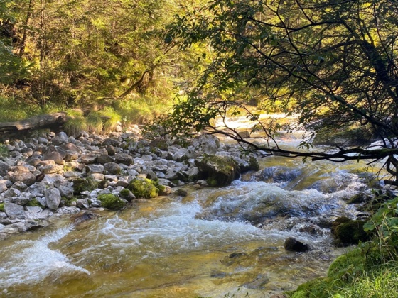 Gimbach Kaskaden Weissenbach
