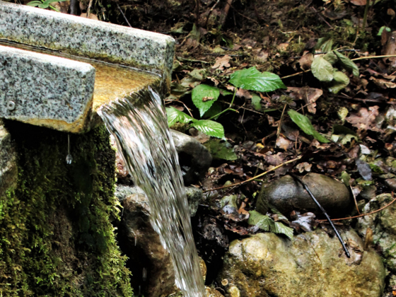 Biotop-Wasserlauf