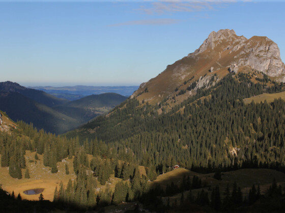Blick Richtung Aggenstein