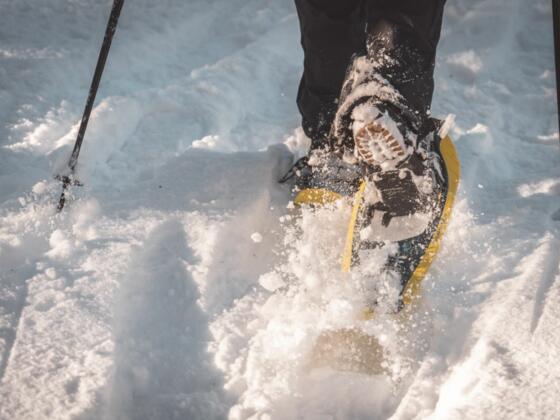 Schneeschuhwandern Niederndorf Winter Schnee