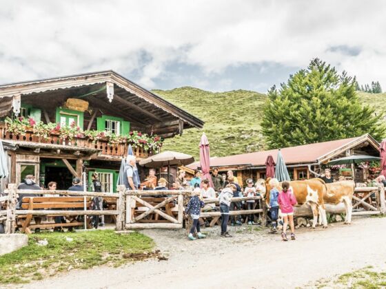 Walleralm Wandern Einkehr Hütte Alm
