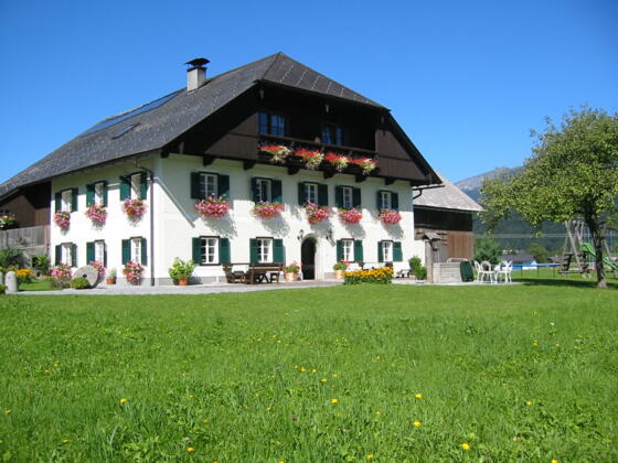 Biomilch beim Automaten