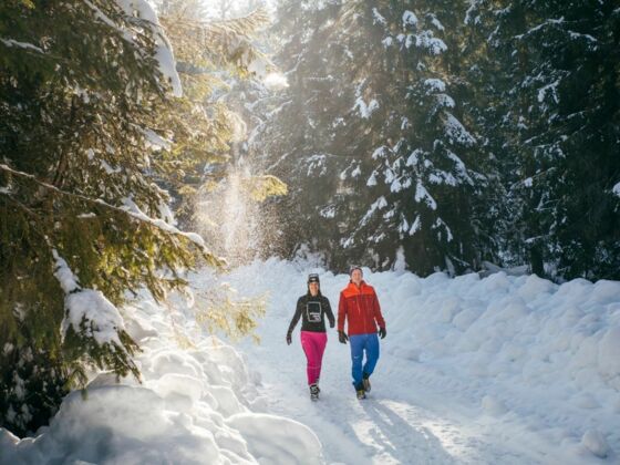 Schnee Winterwandern Winter Wandern