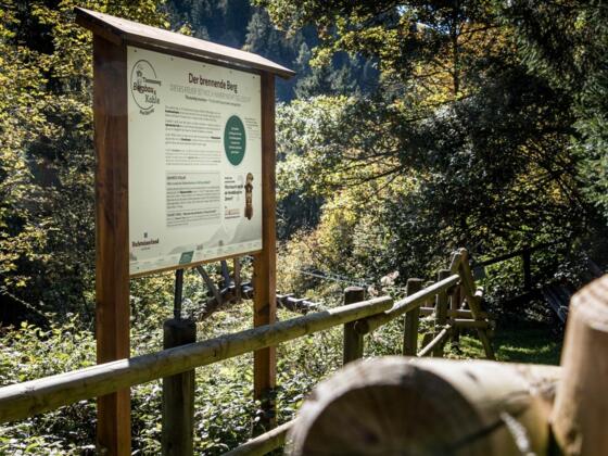 Bergbau und Kohleweg Bad Haering