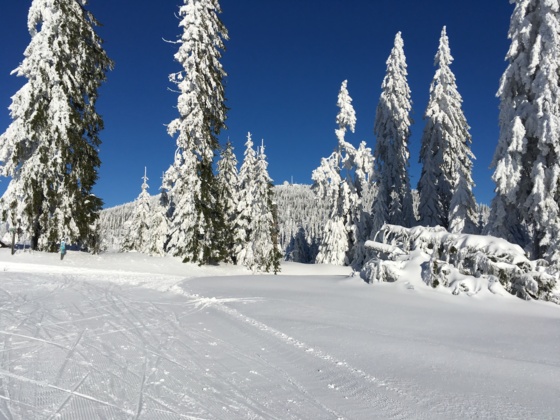 Bretterschachten