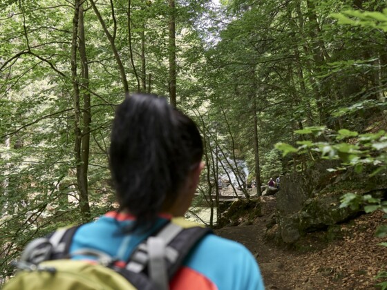 Rißlochschlucht