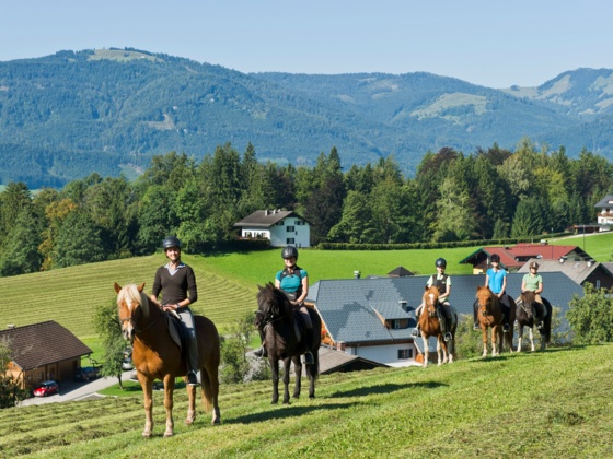 Reiterhof Suassbauer