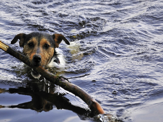 Badeplatz Kreuzstein
