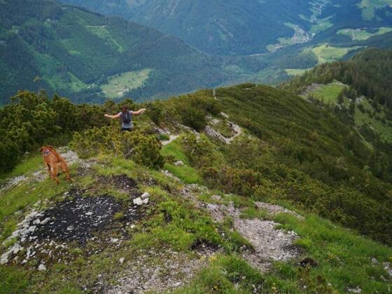 Trailrunning Veitsberg
