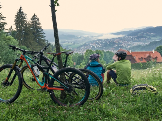 Blick von der Barbarakapelle nach Bodenmais