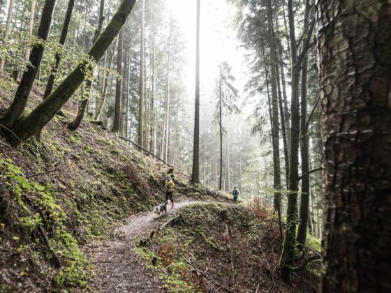 Laufen & Trailrunning(c)Sportalpen Marketing