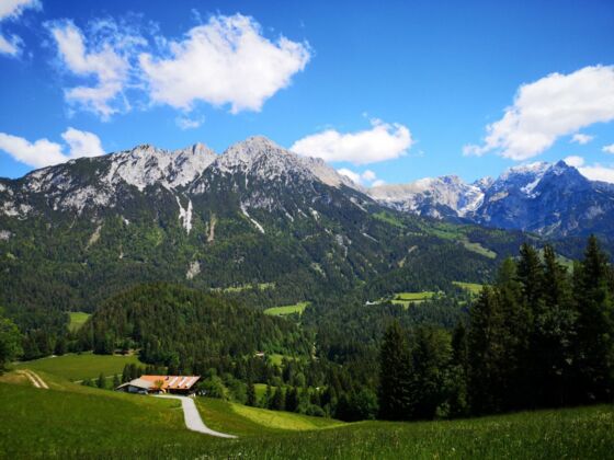 Scheffau_Greidern_Schupfen_Wilder Kaiser