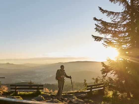 Wandern am Mittagsplatzl