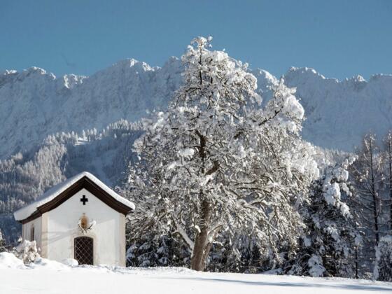 Winter Winterwandern Schnee