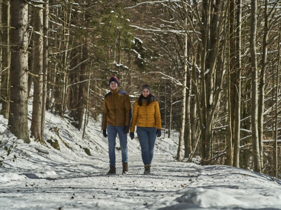 Winterwandern