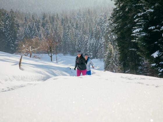 Winterwandern Modal Winter Schnee