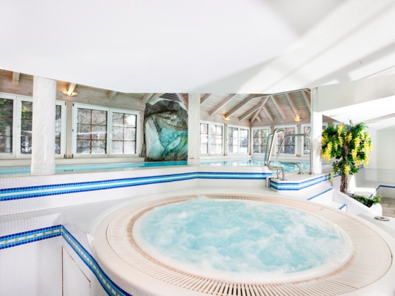 Hallenbad Hotel Bergrose