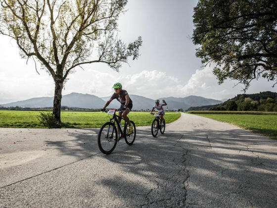Rennrad Bike Rad