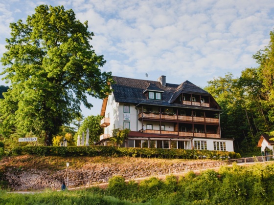 Asia Restaurant Umeko