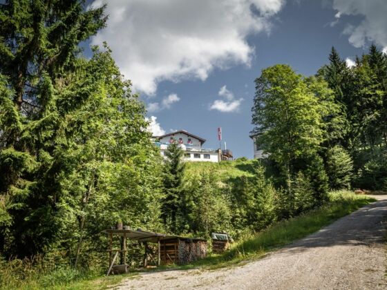 Wandern Aschenbrenner Stadtberg Naturerlebnis Kaisergebirge