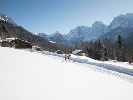 Winterwandern Kaisertal Winter Schnee Premium