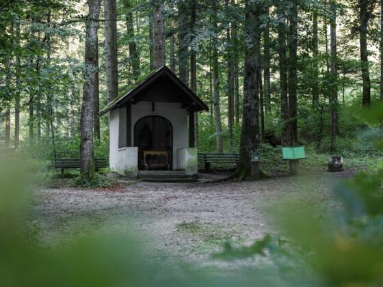 Dickichtkapelle Wandern Stadtberg Kraftplatz