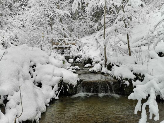 Scheffau_GlasklareBäche_Winterrunde_Bach_Wilder Kaiser