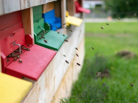 Familie Putz Hinterstrasser
