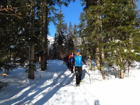 Scheffau_Bruggenmoos Schneeschuhrunde_Wilder Kaiser