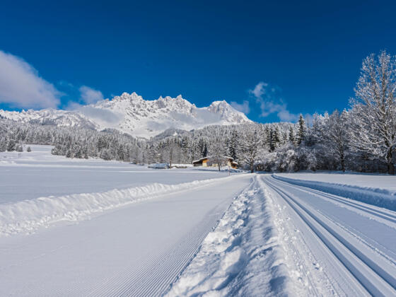Going_Aschauerloipe_Wilder Kaiser