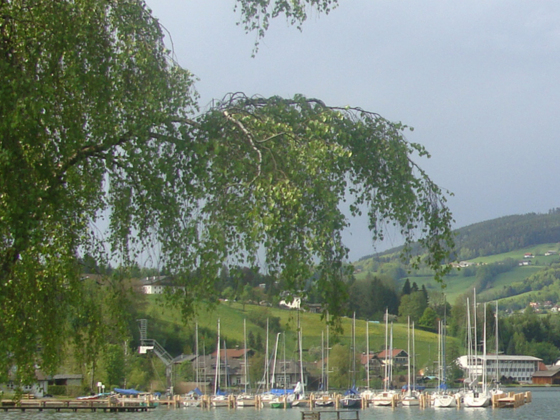 SCS Segelclub Schwarzindien