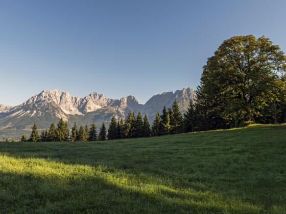 Landschaft Wilder Kaiser