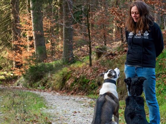 Hundeschule Mondseeland