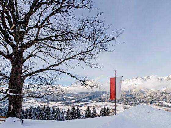 Going_Hollenauer Kreuz_Winterwanderweg_Wilder Kaiser