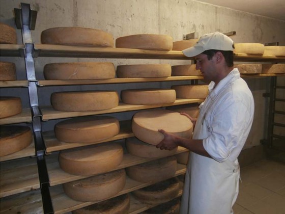 Hofkäserei Hingerer